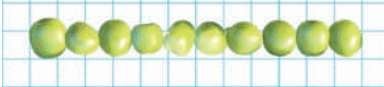 0500a8rr-2e4a-384x87.png