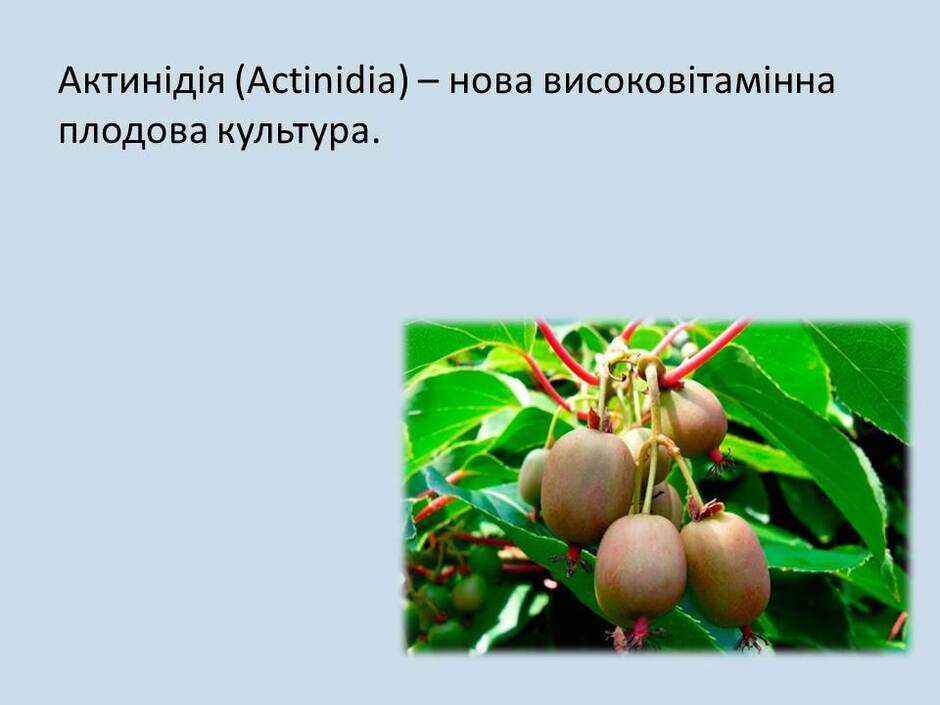 0500aaqc-568b-940x705.jpg