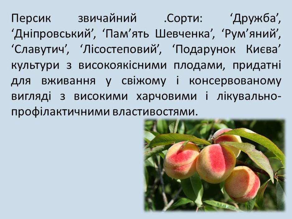 0500aaqk-708f-940x705.jpg