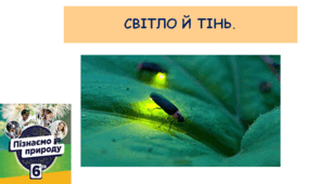 Презентація "Світло і тінь".