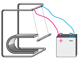 0500alio-495e-333x250.png