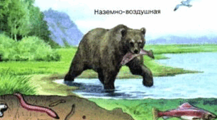 Середовища існування та адаптації до них
