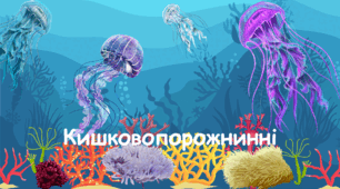 7 кл. Тест "Кишковопорожнинні"