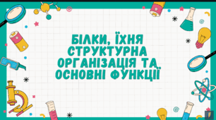 БІЛКИ, ЇХНЯ СТРУКТУРНА ОРГАНІЗАЦІЯ ТА ОСНОВНІ ФУНКЦІЇ
