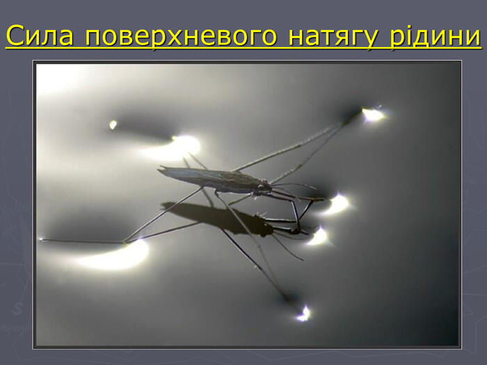 Сила поверхневого натягу рідини