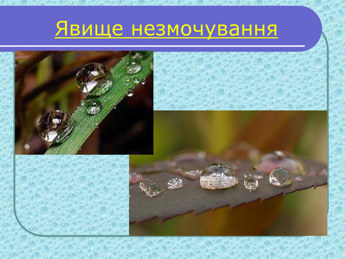 Явище незмочування