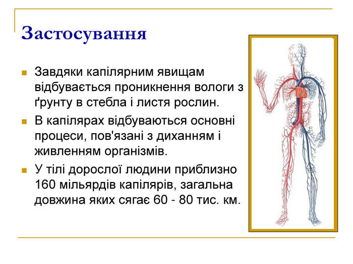 Застосування Завдяки капілярним явищам відбувається проникнення вологи з ґрунту в стебла і листя рослин. В капілярах відбуваються основні процеси, пов'язані з диханням і живленням організмів. У тілі дорослої людини приблизно 160 мільярдів капілярів, загальна довжина яких сягає 60 - 80 тис. км.