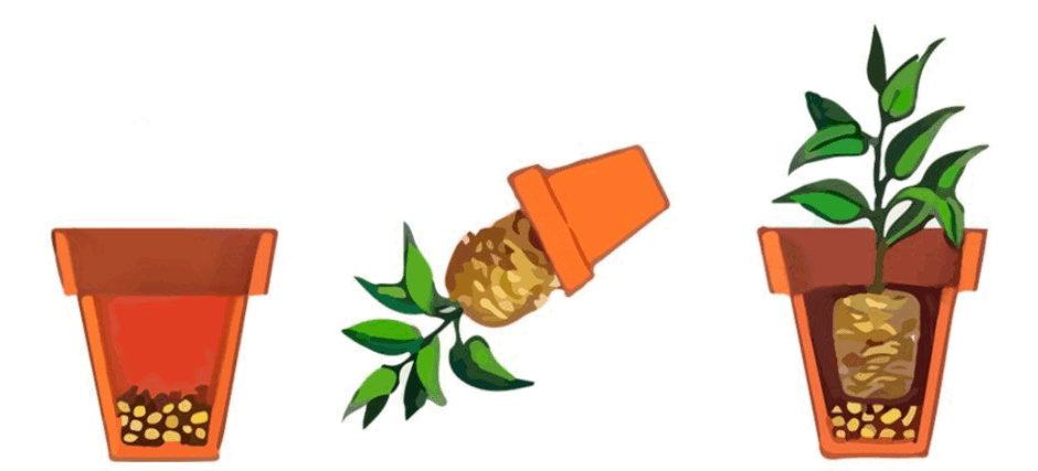 0500b04b-1ecd-940x427.png