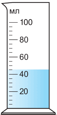 0500b19b-6642-242x481.png