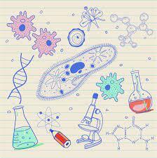 High School Biology Master Course - Whizsmart