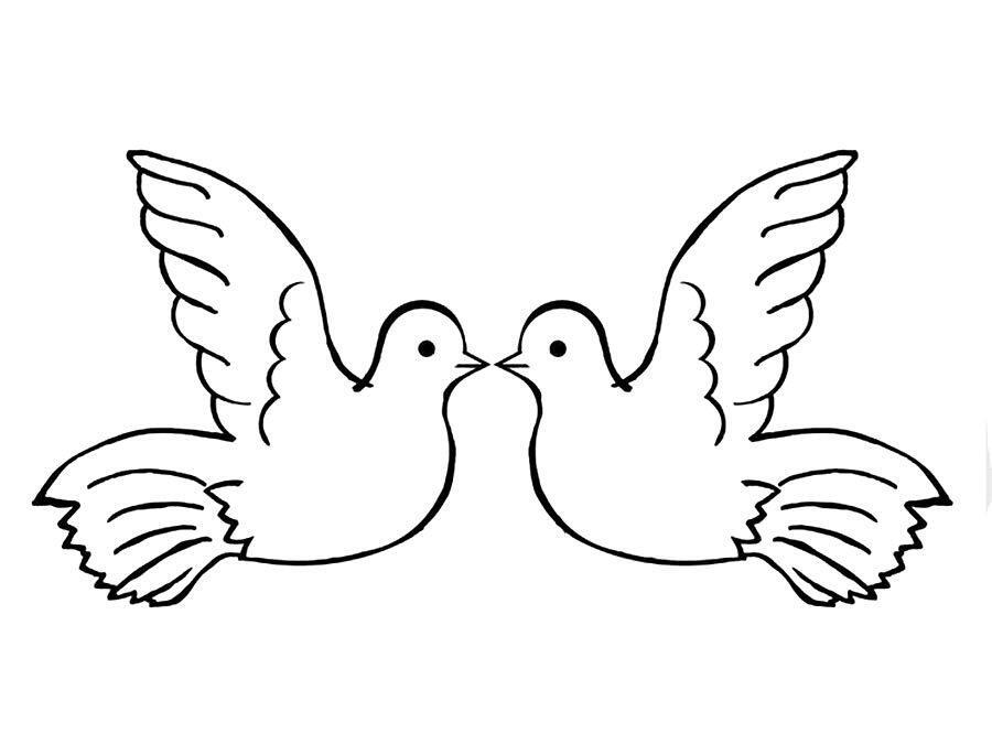 0500b6rk-5cbb-900x675.jpg
