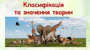 Поняття про класифікацію тварин.