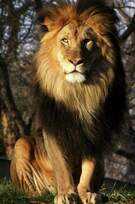 0500b7db-d83d-135x204.jpg