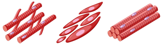 0500b8j3-1119-547x162.png