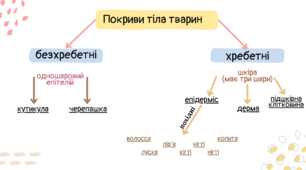 Ілюстрації на тему "Покриви тіла тварин"