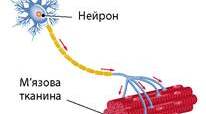Подразливість