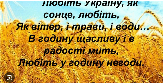 0500bh8x-2d78-554x283.png