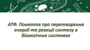 АТФ. Поняття про перетворення енергії та реакції синтезу в біологічних системах