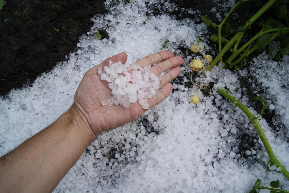 The ARC Centre of Excellence for Climate Extremes | UNSW01: Mapping hail boundary conditions in Australia - The ARC Centre of Excellence for Climate Extremes