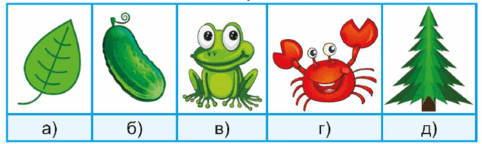 0500bmf1-cd04-482x144.png