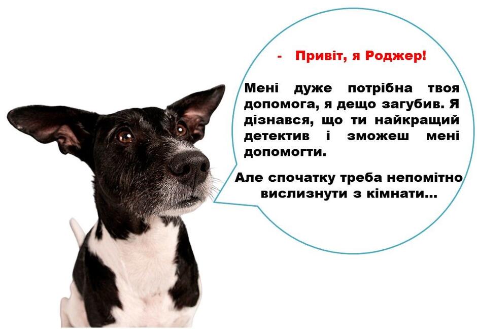 0500bmmr-0483-940x648.jpg