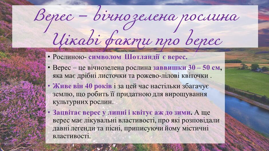 0500bsxj-6585-940x529.jpg