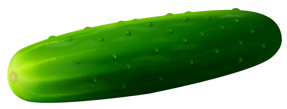 0500btjh-6a1b-940x359.png