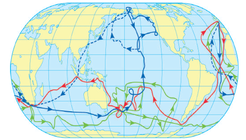 0500butu-6891-804x459.png