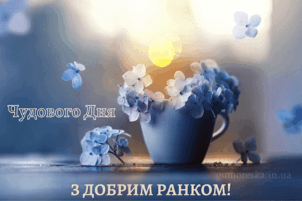 0500bx0j-f3c2-428x285.png
