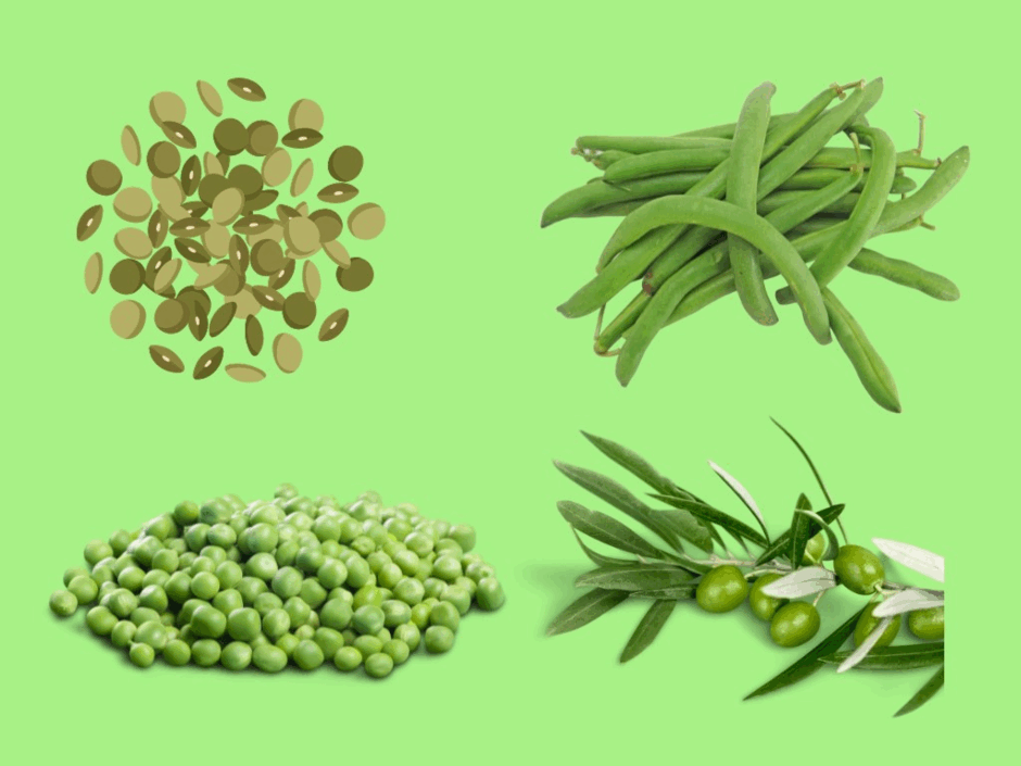 0500bx3e-68a8-940x705.png
