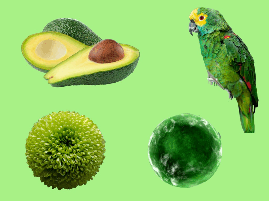 0500bx58-94fc-940x705.png