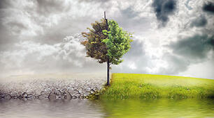 Природа і погода.  Is the Earth in Danger? Lesson 4 (38). Чому відбуваються природні катастрофи? 