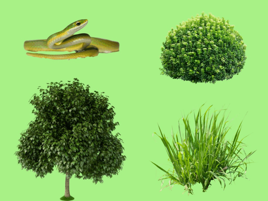 0500bxo3-df9c-940x705.png