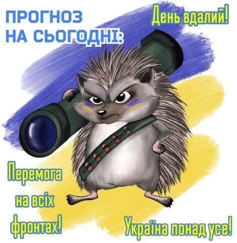 0500by3r-49d5-475x488.jpg