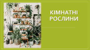 Презентація "Кімнатні росилини" (квітникарство)