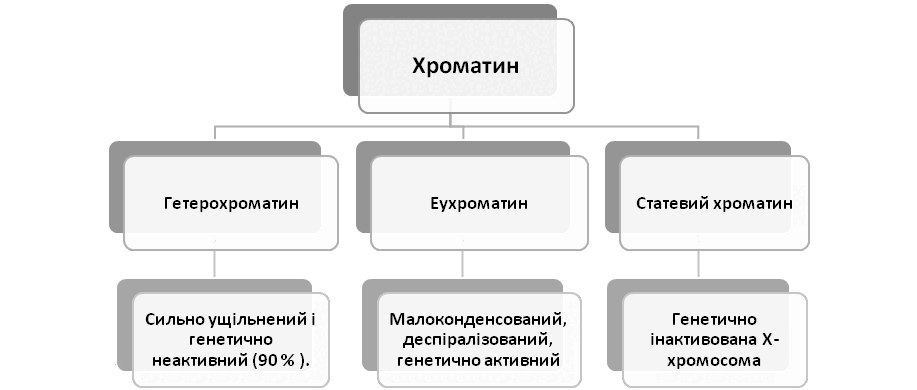 0500c2fp-3079-917x390.png