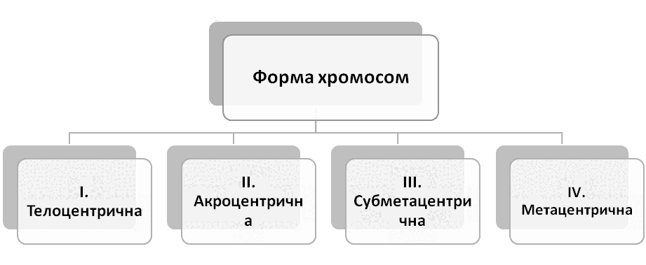 0500c2g3-9dd7-921x379.png