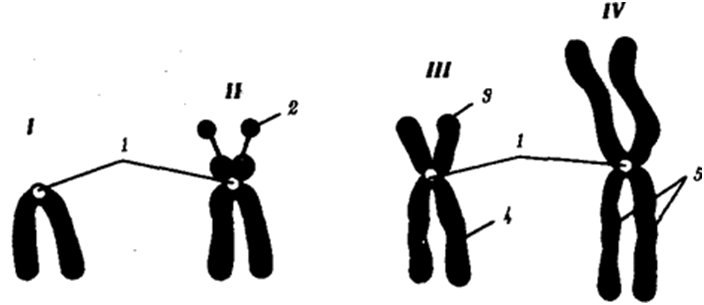 0500c2g9-8831-704x305.png