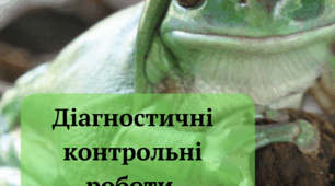 Тест "Діагностичні контрольні роботи"