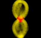 0500c3tg-95d7-138x130.png