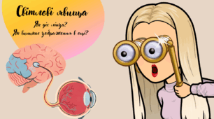 Презентація "Як діє лінза? Як виникає зображення в оці?"