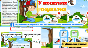 Дидактична гра з ліхтариком "У пошуках пернатих".#День_птахів.Ознайомлення з природою.Жива природа.