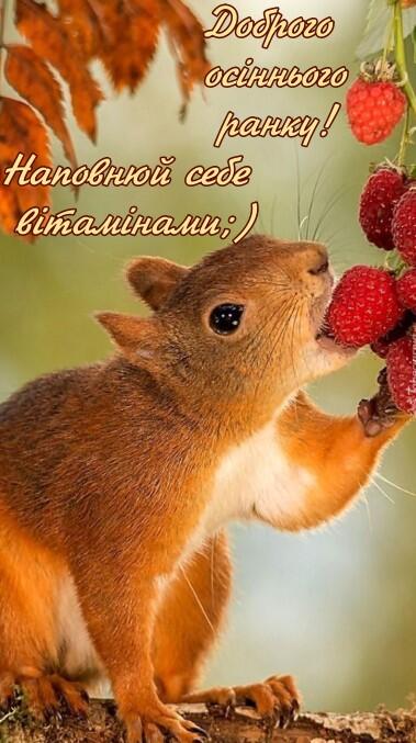 Доброго ранку