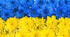 О. Кониський "Молитва".  С. Чернецький, Г. Труш  "Ой у лузі червона калина похилилася..."