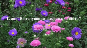 Відео заняття: "Відгадування загадок про квіти".