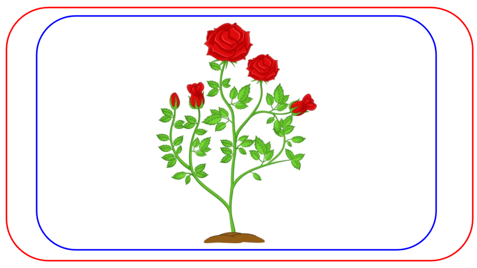 0500cbvh-4368-940x529.png