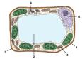 0500ccba-1980-116x83.jpg