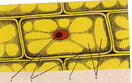 0500ccbf-34d4-132x83.jpg