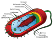 0500ccbv-91e2-108x82.png