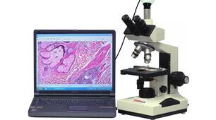 Як роблять відкриття та винаходи